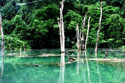 Vous avez dit parcs nationaux vietnamiens ?